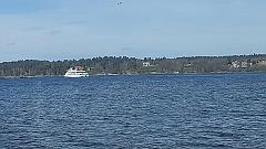 Stockholm (140)